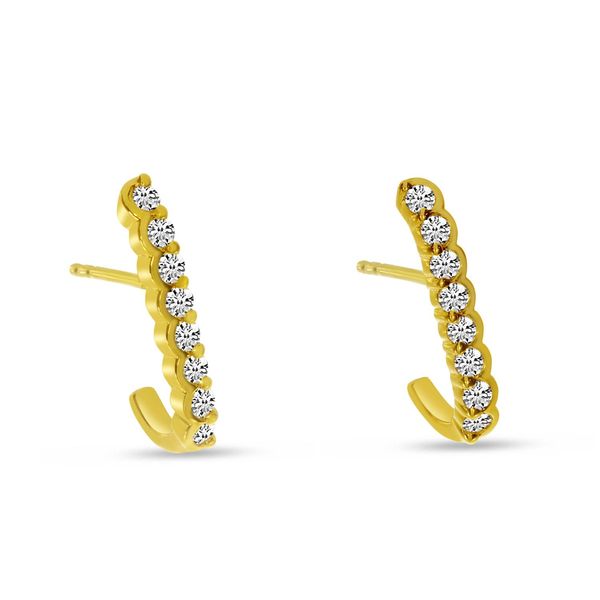 Diamond Earrings Image 2 Hogan's Jewelers Gaylord, MI