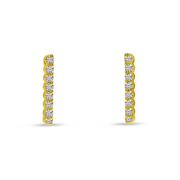Diamond Earrings Hogan's Jewelers Gaylord, MI