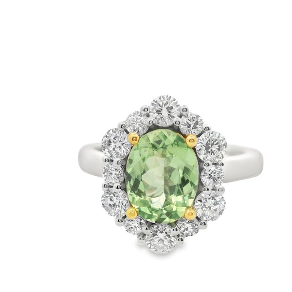 Savorite Garnet and Diamond Ring Hogan's Jewelers Gaylord, MI