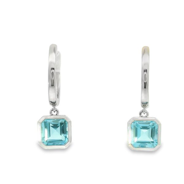BlueTopaz Dangle Earrings Hogan's Jewelers Gaylord, MI