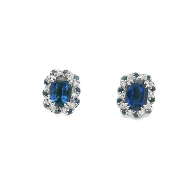 Blue Sapphire Studs Hogan's Jewelers Gaylord, MI
