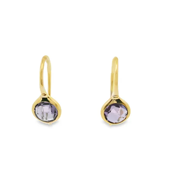 Amethyst Earrings Hogan's Jewelers Gaylord, MI