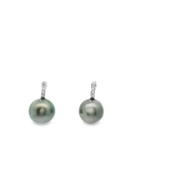 Tahitian Pearl and Diamond Earrings Hogan's Jewelers Gaylord, MI