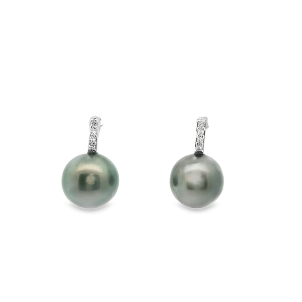 Tahitian Pearl and Diamond Earrings Hogan's Jewelers Gaylord, MI