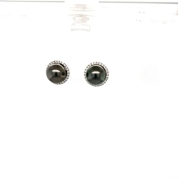 Tahitian and Diamond Halo Earrings Hogan's Jewelers Gaylord, MI