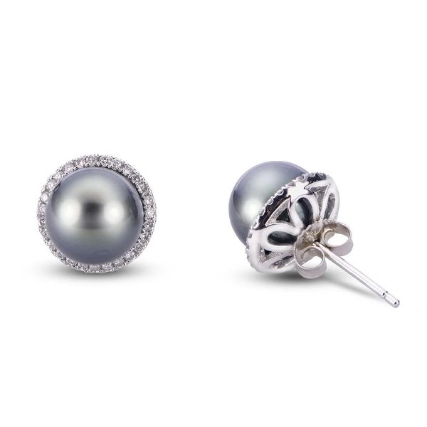 Tahitian and Diamond Halo Earrings Hogan's Jewelers Gaylord, MI