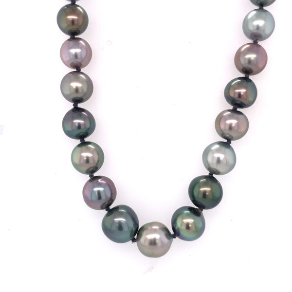 Multi-Color Black Tahitian Pearl Necklace Hogan's Jewelers Gaylord, MI
