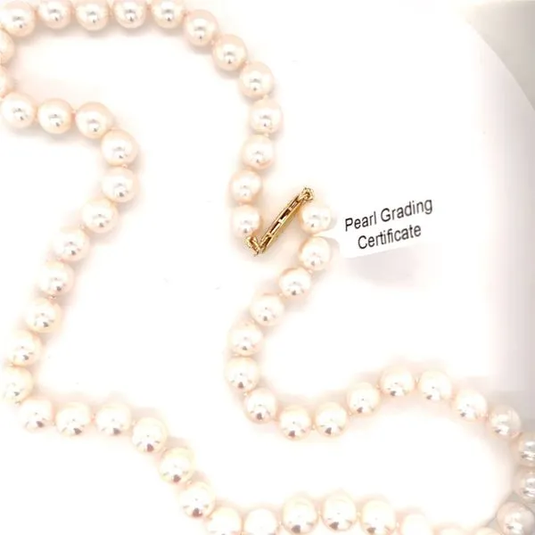 Akoya Pearl Necklace Hogan's Jewelers Gaylord, MI