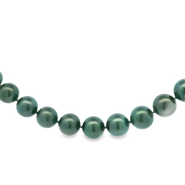 Tahitian Pearl Necklace Hogan's Jewelers Gaylord, MI