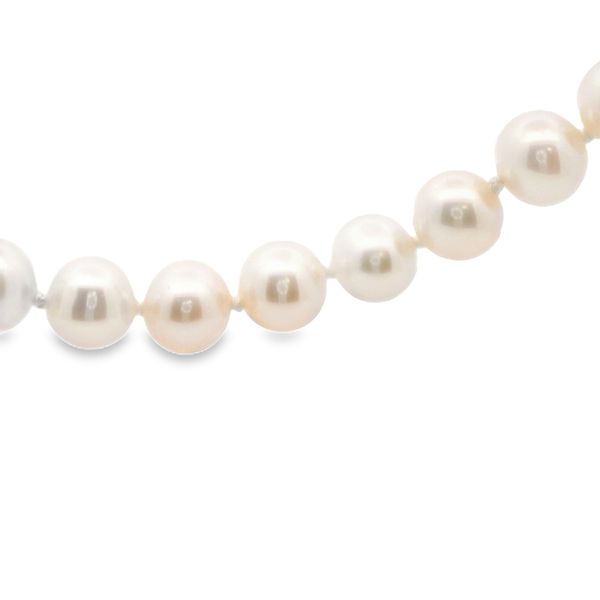 Freshwater Pearl Strand Hogan's Jewelers Gaylord, MI