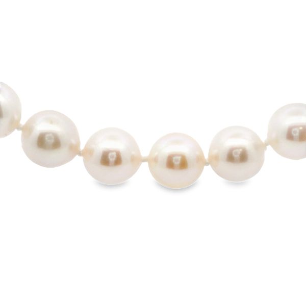 Akoya Pearl Strand Hogan's Jewelers Gaylord, MI