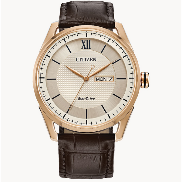 Citizen Eco-Drive Dress Watch Hogan's Jewelers Gaylord, MI