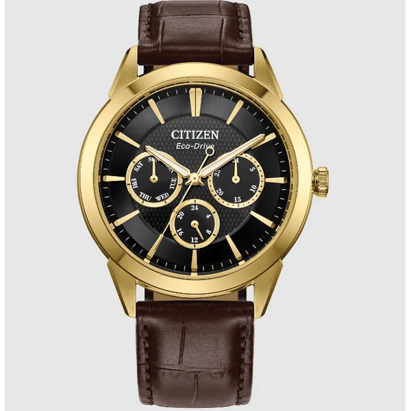 Citizen Eco-Drive Dress Watch Hogan's Jewelers Gaylord, MI