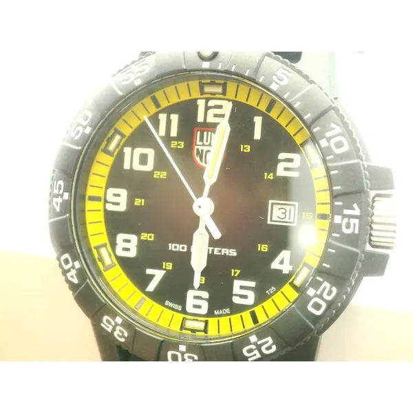 Luminox Leatherback Sea Turtle Watch Hogan's Jewelers Gaylord, MI