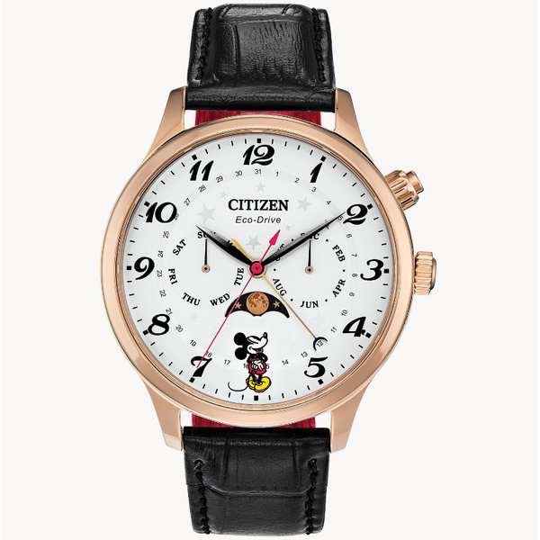 Citizen Disney's 