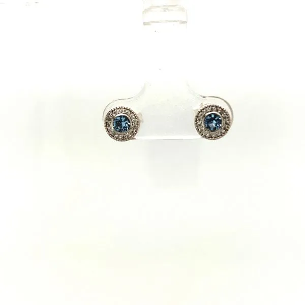 Simulated Birthstone Earring Hogan's Jewelers Gaylord, MI