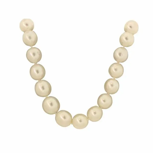 Beautiful graduated strand of South Sea cultured pearls. Holliday Jewelry Klamath Falls, OR