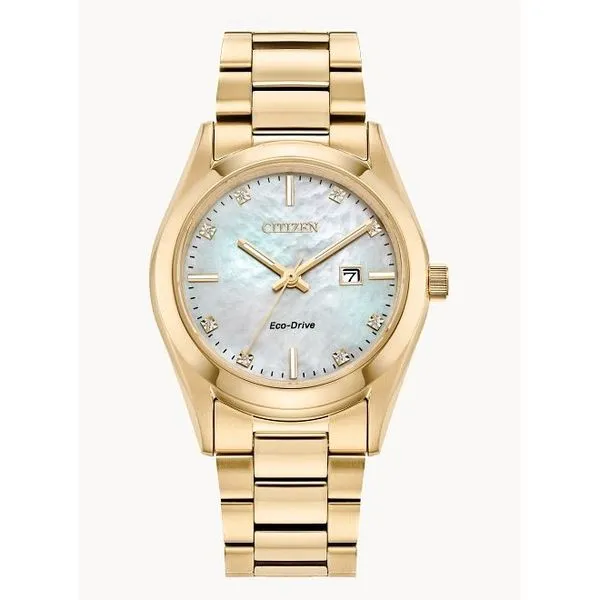 Citizen Gold Tone Stainless steel Eco-Drive Watch from the Carson Collectiony. Caliber E013. Holliday Jewelry Klamath Falls, OR