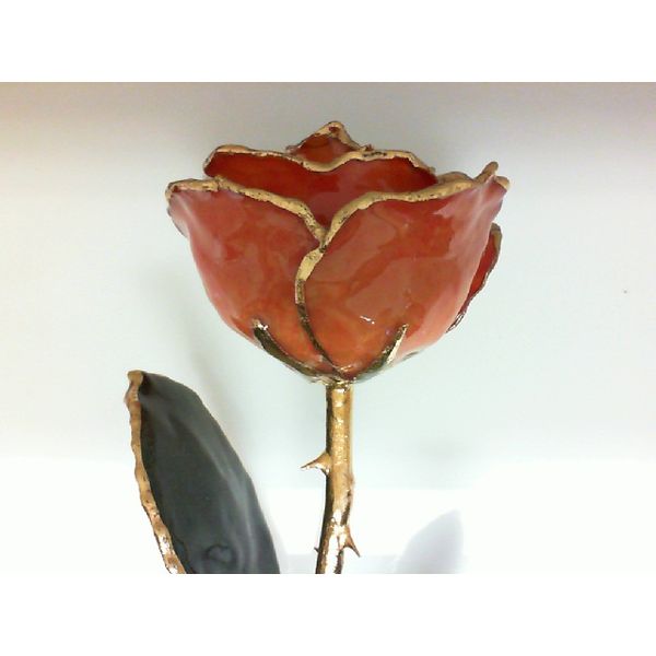Apricot Rose w/ Gold Trim Holliday Jewelry Klamath Falls, OR