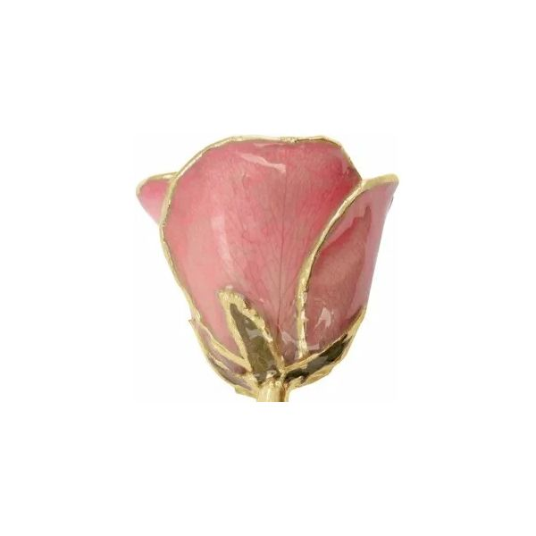 24K pink lacquered rose. Holliday Jewelry Klamath Falls, OR