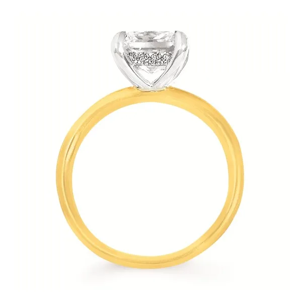 Diamond Engagement Ring Image 2 Hollingsworth Jewelers Gallery Petaluma, CA