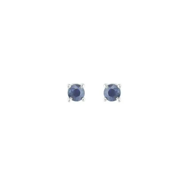 Earrings Hollingsworth Jewelers Gallery Petaluma, CA