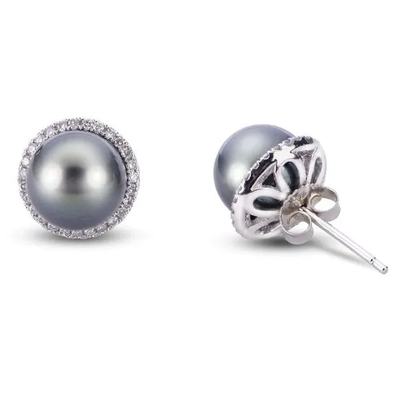 Earrings Hollingsworth Jewelers Gallery Petaluma, CA