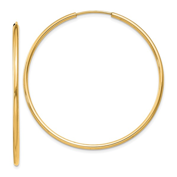 Precious Metal Earrings Hollingsworth Jewelers Gallery Petaluma, CA