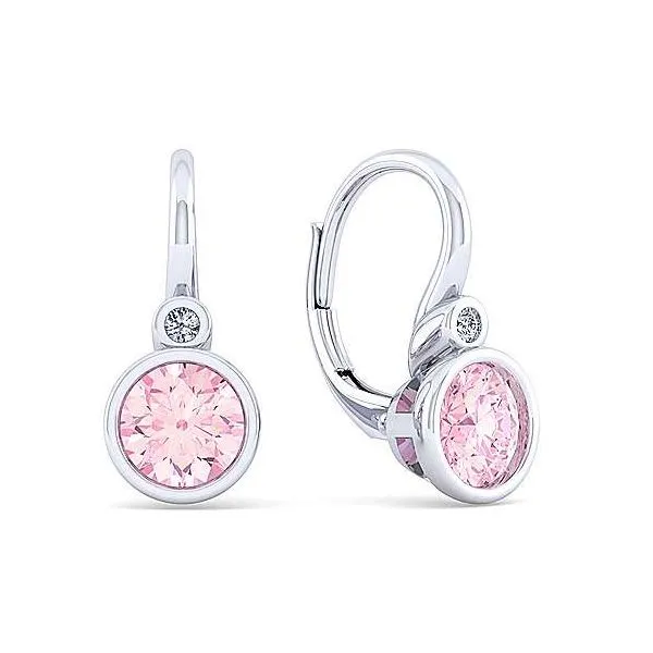 Silver Earrings (with Stones) Hollingsworth Jewelers Gallery Petaluma, CA