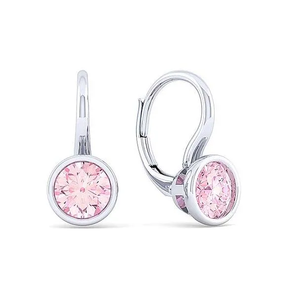 Silver Earrings (with Stones) Hollingsworth Jewelers Gallery Petaluma, CA