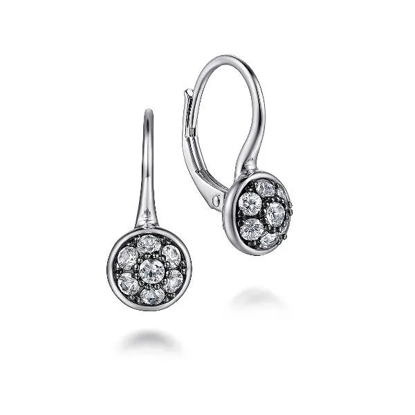 Silver Earrings (with Stones) Hollingsworth Jewelers Gallery Petaluma, CA