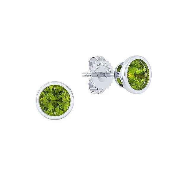 Silver Earrings (with Stones) Hollingsworth Jewelers Gallery Petaluma, CA