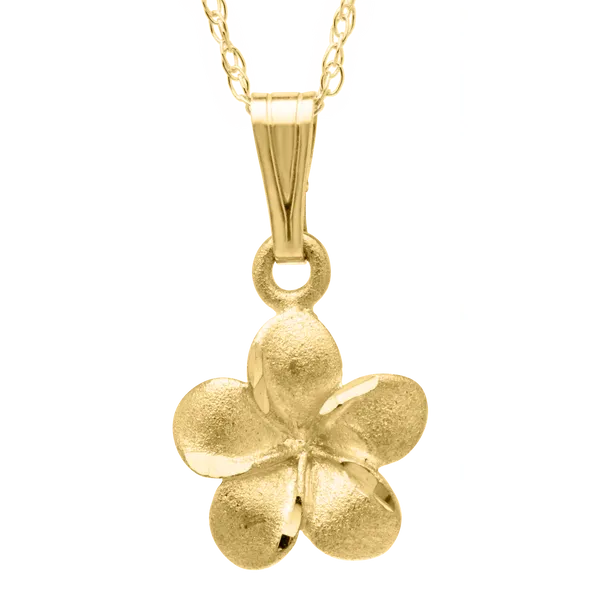 001-810-00001 Hollingsworth Jewelers Gallery Petaluma, CA