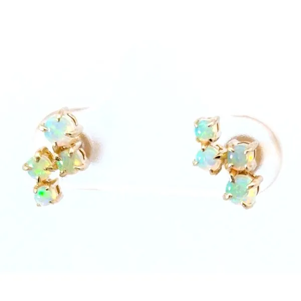 Colored Stone Earrings Holly McHone Jewelers Astoria, OR