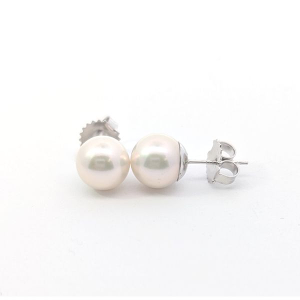 Freshwater Pearl Stud Earrings in 14K White Gold Holly McHone Jewelers Astoria, OR