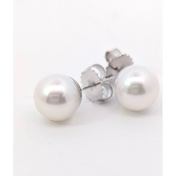 Freshwater Pearl Stud Earrings in 14K White Gold Holly McHone Jewelers Astoria, OR
