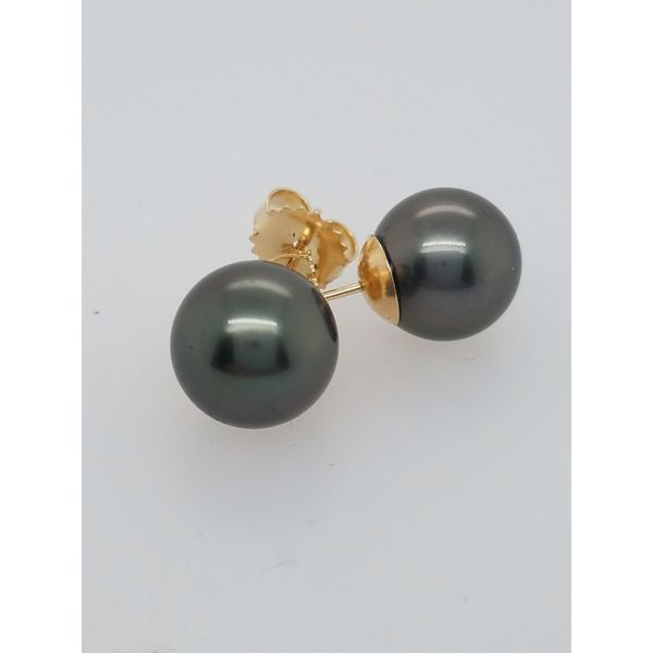 Tahitian Pearl Stud Earrings in 14K Gold Holly McHone Jewelers Astoria, OR