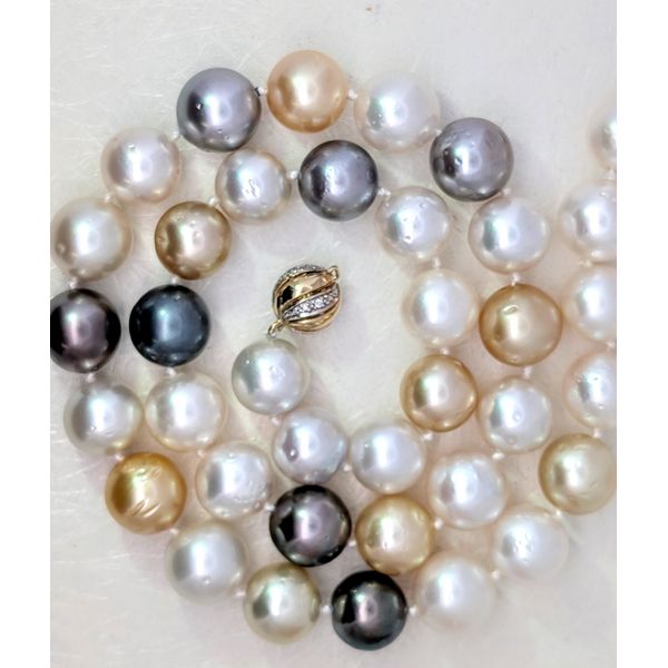 South Sea Pearl Multi-Color Strand Necklace Image 2 Holly McHone Jewelers Astoria, OR