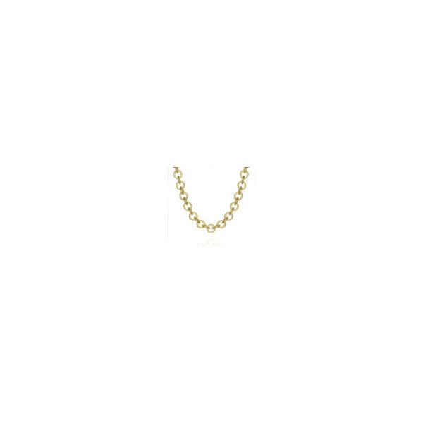 Textured Link Necklace in Sterling Silver with 18K Vermeil Image 2 Holly McHone Jewelers Astoria, OR