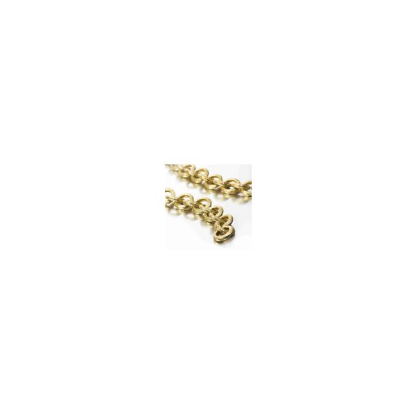 Textured Link Necklace in Sterling Silver with 18K Vermeil Image 3 Holly McHone Jewelers Astoria, OR