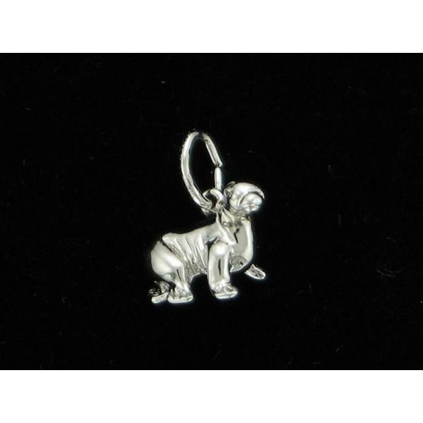 Silver Charm Holly McHone Jewelers Astoria, OR