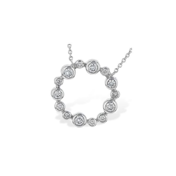 Bezel Circle Diamond Necklace Holtan's Jewelry Winona, MN