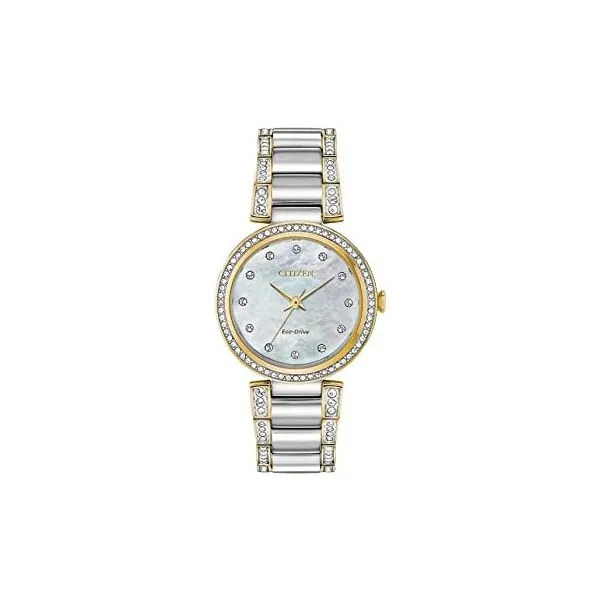 Ladies Two-Toned Citizen Eco-Drive Watch Holtan's Jewelry Winona, MN