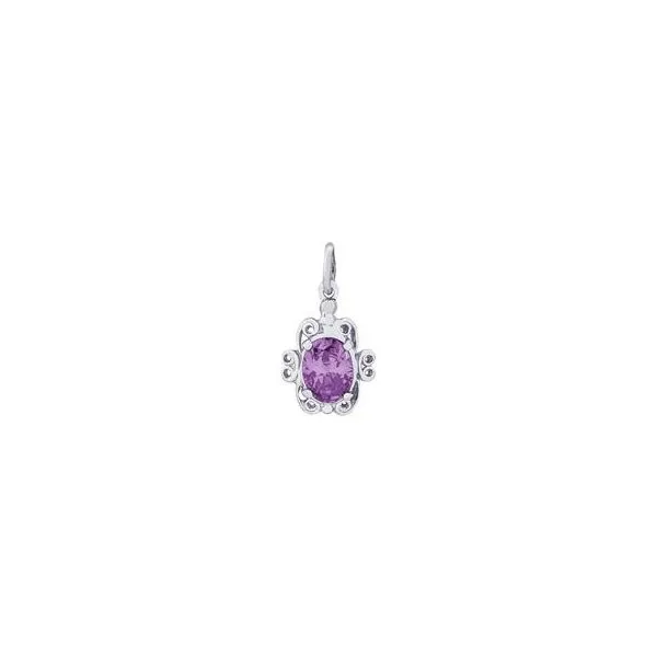 February Birthstone Charm Holtan's Jewelry Winona, MN