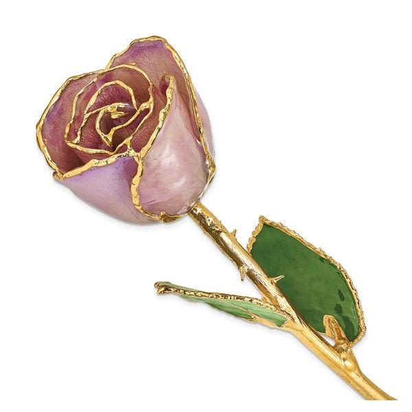 Lacquer Dipped Gold Trimmed Lavender Rose Holtan's Jewelry Winona, MN