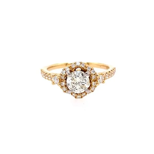 Engagement Ring House of Silva Wooster, OH