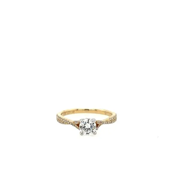 Engagement Ring House of Silva Wooster, OH