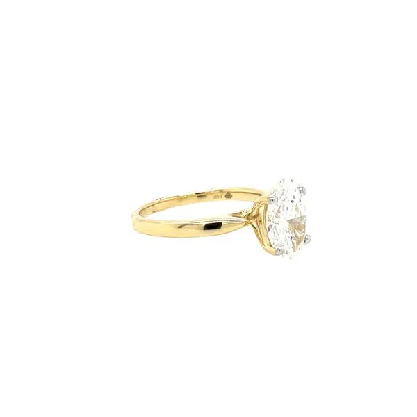 Lab Grown Diamond Engagement Rings Image 2 House of Silva Wooster, OH