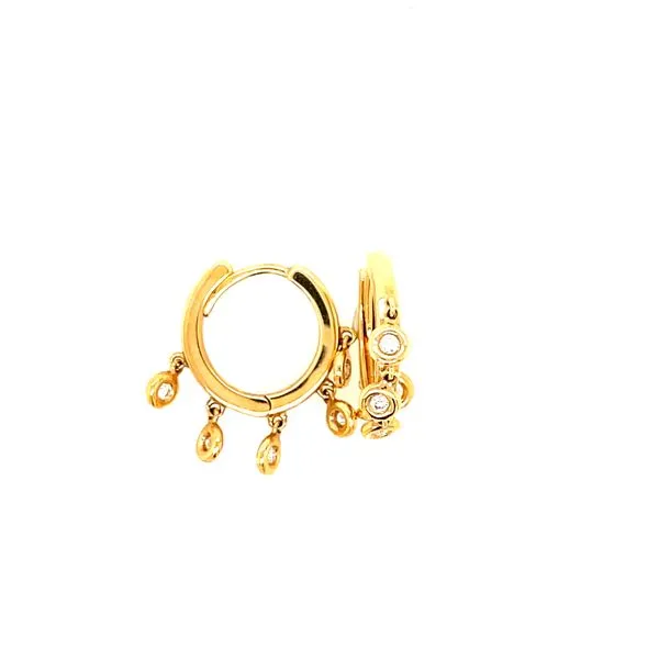 Diamond Shaker Hoop Earrings House of Silva Wooster, OH