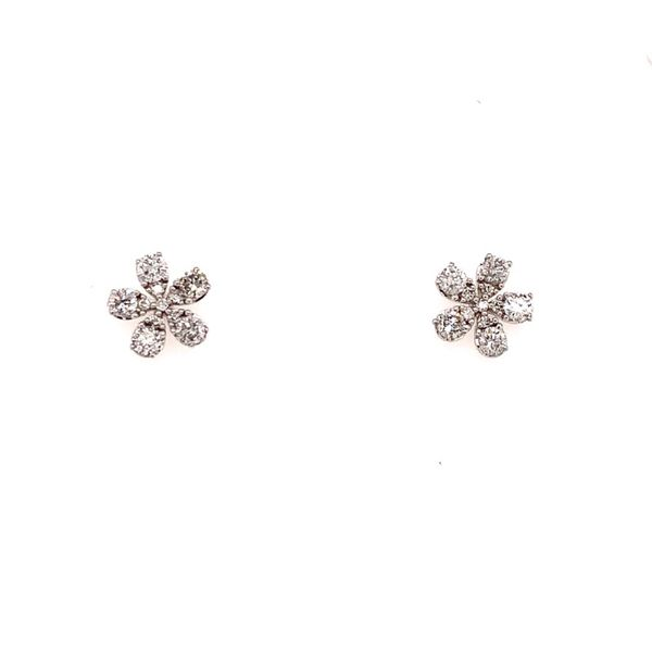 Diamond Earrings House of Silva Wooster, OH